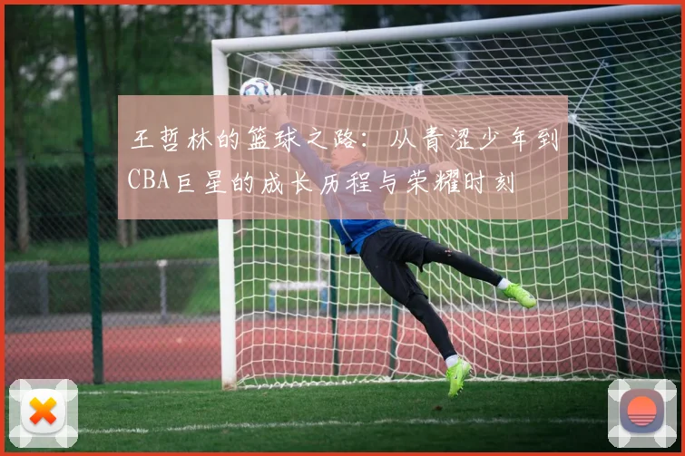 王哲林的篮球之路：从青涩少年到CBA巨星的成长历程与荣耀时刻