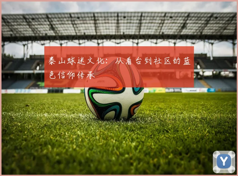 泰山球迷文化：从看台到社区的蓝色信仰传承