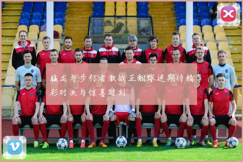 猛龙与步行者激战正酣球迷期待精彩对决与惊喜时刻